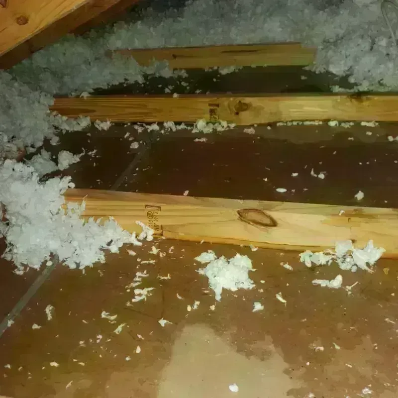 Attic Water Damage in Stafford, CT