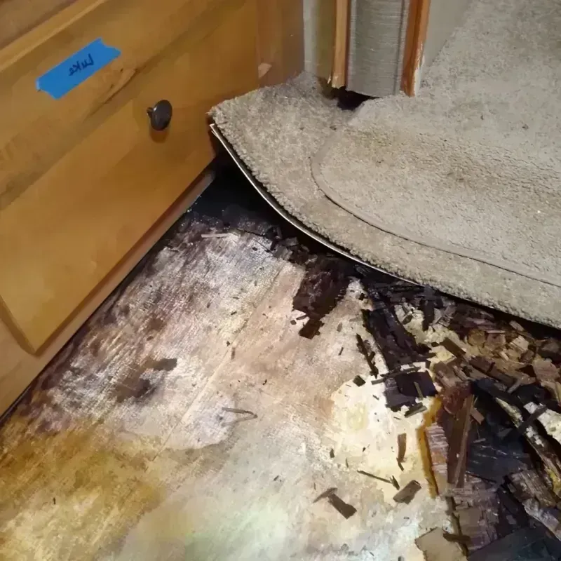 Best Wood Floor Water Damage Service in Stafford, CT